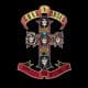 appetite for destruction2