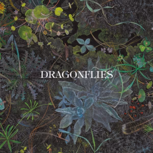 Dragonflies Dragonflies Dragonflies Dragonflies