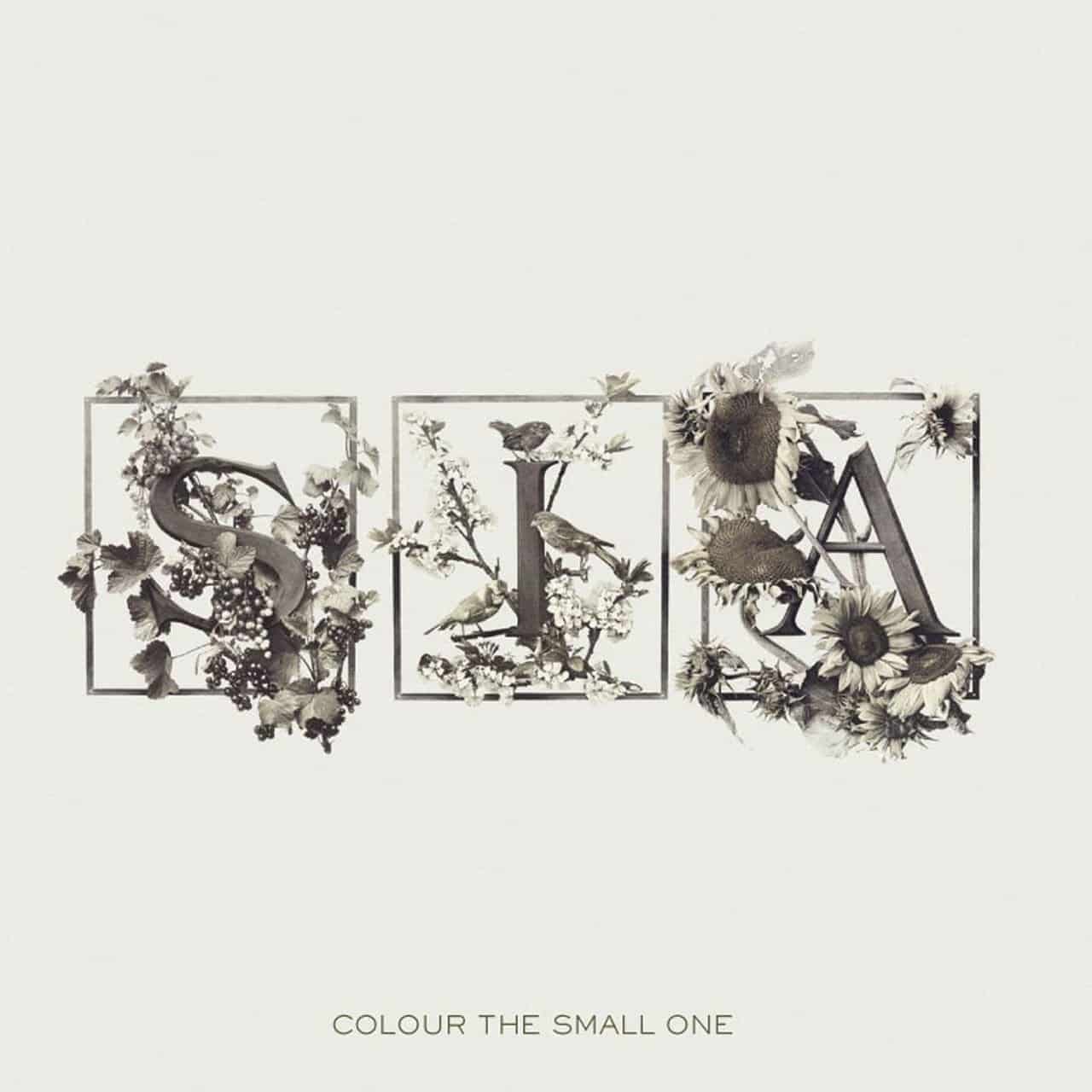 Download Breathe Me: Sia's "Colour the Small One" Gets Vinyl Debut ...